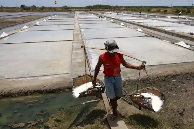 Legislation to revive salt industry goes before TWG - BusinessWorld Online