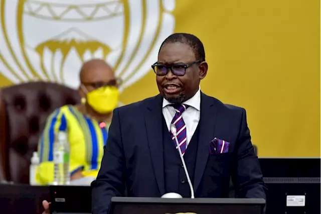 Watch: Finance minister Godongwana delivers mid-term budget speech | Citypress