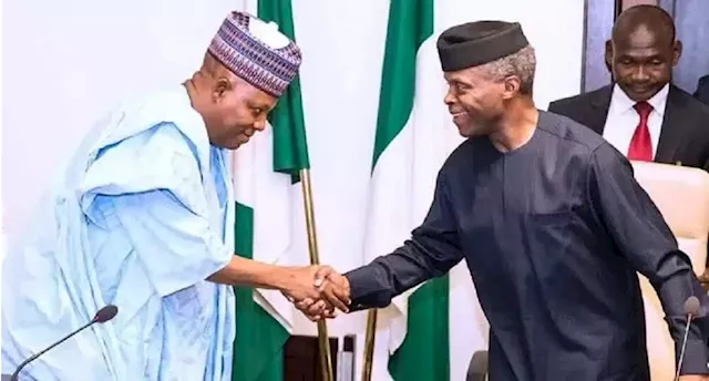 Chairman of Osinbajo ice-cream company — VP to Shettima