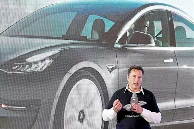 Musk eyes investment in border state