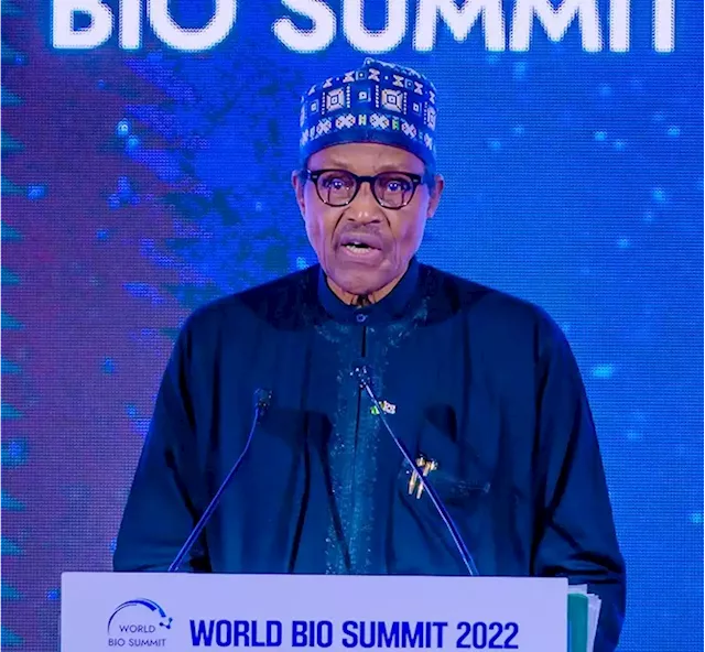 Buhari woos Korean investment to Nigeria | The Guardian Nigeria News - Nigeria and World News