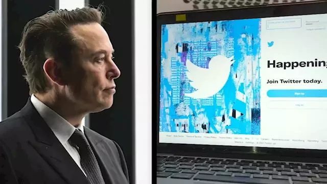 Elon Musk reportedly takes over Twitter, fires its top executives; fate of company in question