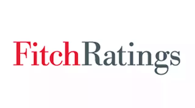 Fitch affirms PH’s investment-grade rating of ‘BBB’ with negative outlook