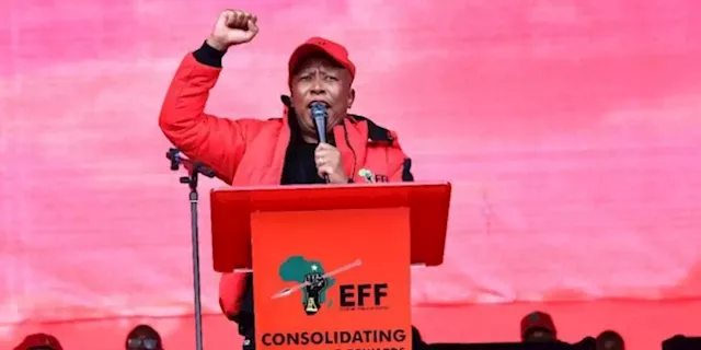 EFF submits videos to Section 89 Independent Panel of Experts in support of the ATM draft's motion - SABC News - Breaking news, special reports, world, business, sport coverage of all South African current events. Africa's news leader.