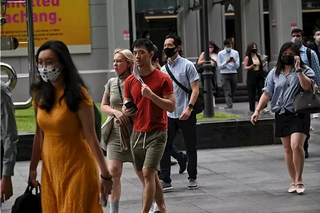 S’pore job market shows signs of ‘slowing momentum’ as employment rises by 75,600 in Q3: MOM