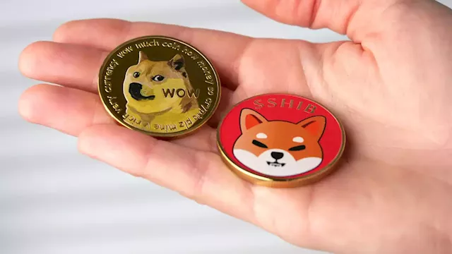 Biggest Movers: SHIB 20% Higher, as DOGE Hits 5-Month High – Market Updates Bitcoin News