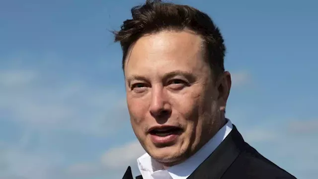 Trump won't return to Twitter right away: Musk enlists panel to review suspended accounts | CNN Business