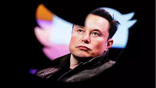 As Elon Musk takes over Twitter, free speech limits tested - SABC News - Breaking news, special reports, world, business, sport coverage of all South African current events. Africa's news leader.