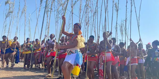 Young maidens call on King Misuzulu to preserve Zulu culture and traditions - SABC News - Breaking news, special reports, world, business, sport coverage of all South African current events. Africa's news leader.