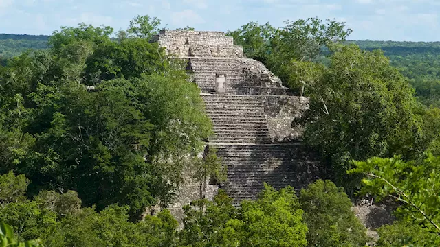 Huge Ancient Mayan town complete with temples and a market found in jungle