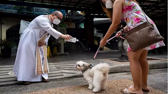 Pet weddings highlight animal blessing ceremony in the Philippines - SABC News - Breaking news, special reports, world, business, sport coverage of all South African current events. Africa's news leader.