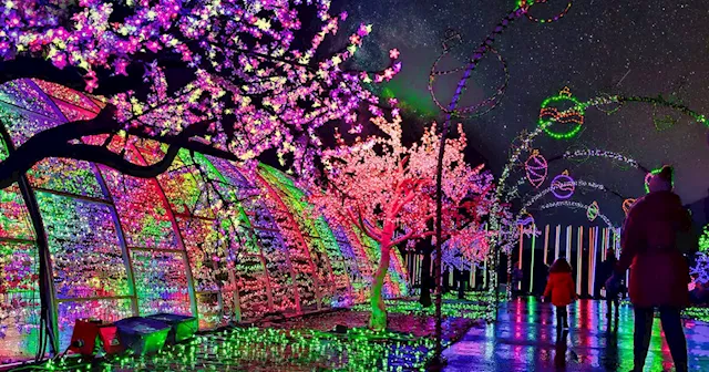 Dazzling lights festival with Christmas market opening near Toronto