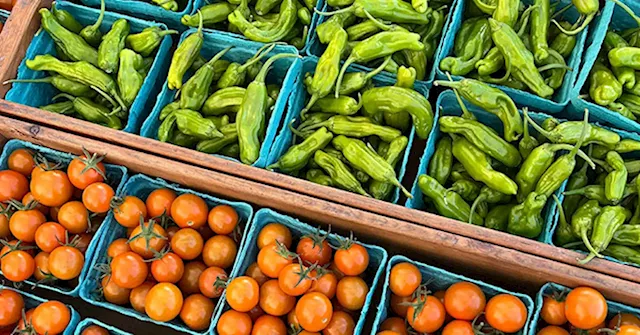 Go to the Local Farmers Market on Vacation