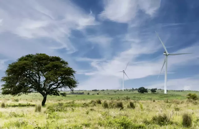 Anglo American and EDF form new company for renewable energy in South Africa