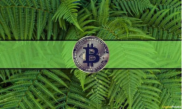 Crypto in Green as Foreign Pressure on Fed to Stop Rate Hikes Mounts (Market Watch)