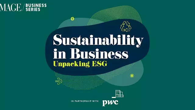 Sustainability in business: Unpacking ESG