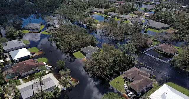 The big reason Florida insurance companies are failing isn't just hurricane risk — it’s fraud and lawsuits