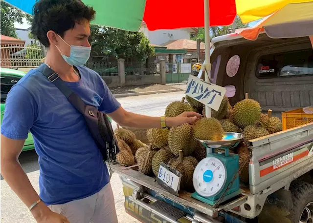 DA-Davao optimistic local durian variety ‘penetrates’ China market