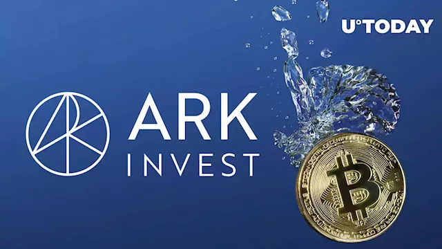 Ark Invest Analyst Says Crypto Market Is Completing Its Capitulation