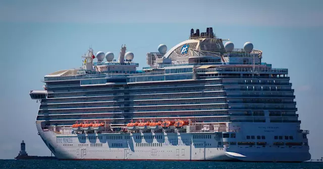 Cruise industry experiencing resurgence after getting hit hard during pandemic