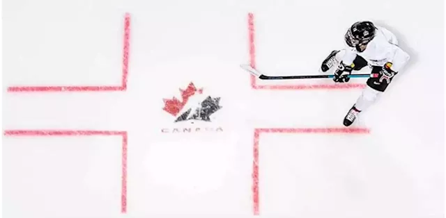 More companies end sponsorships and partnerships with Hockey Canada as fallout continues