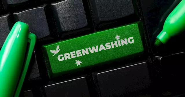 Accounting watchdog warns companies against ‘greenwashing’