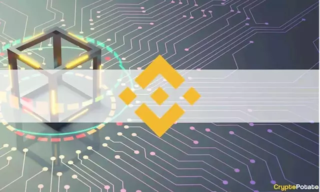 Binance Coin Drops 4% Following BNB Chain Hack (Market Watch)