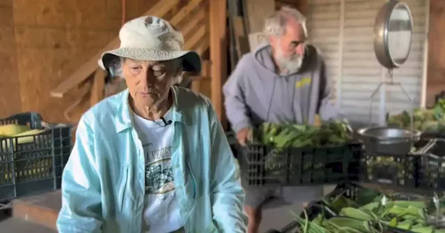 Aging farmers looking to retire stumped by lack of buyers for their business