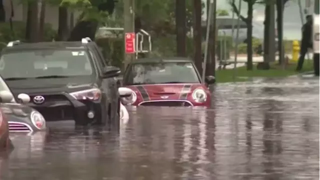 Buyer beware: Thousands of flood-damaged vehicles could return to market