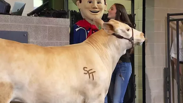 Prize Livestock Sold at State Fair of Texas Youth Market Live Auction