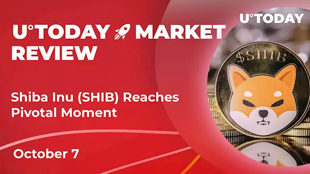 Shiba Inu (SHIB) Reaches Pivotal Moment: Crypto Market Review, October 7