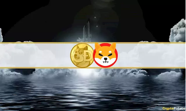 Memecoin Madness: Dogecoin Soars 25%, Shiba Inu Up 8% (Market Watch)