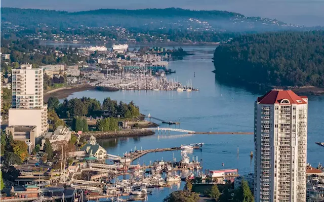 Why Vancouver Island's Real Estate Market Remains a Beacon of Stability