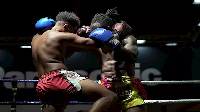 Limpopo to host boxing tournament to raise awareness about GBV - SABC News - Breaking news, special reports, world, business, sport coverage of all South African current events. Africa's news leader.