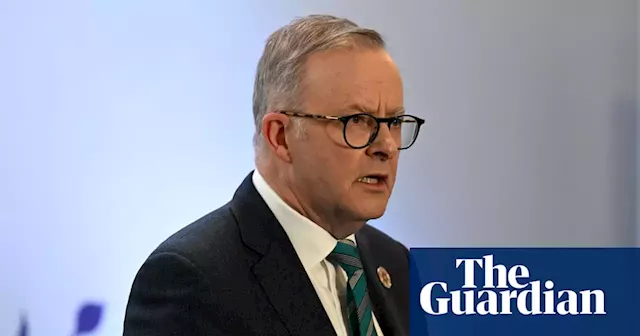 Climate crisis solutions may also ease global financial shocks, Albanese to tell business leaders