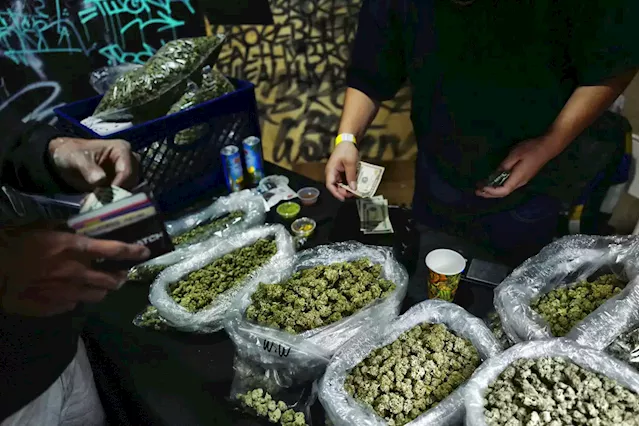 The black market strangled California's legal weed industry. Now it's coming for New York.