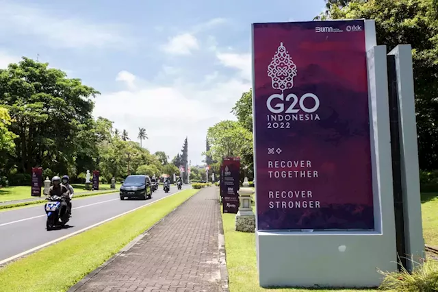 Business Maverick: G-20 Diplomats Agree on Draft Statement Despite Rifts on Russia