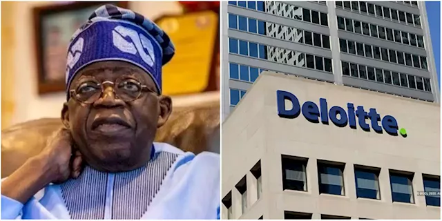 US Company, Deloitte Denies Ever Employing APC Presidential Candidate, Tinubu | Sahara Reporters