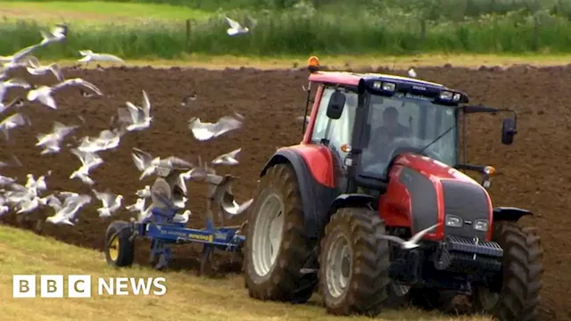 Cornwall farmers urged to ask for help as industry faces financial worries