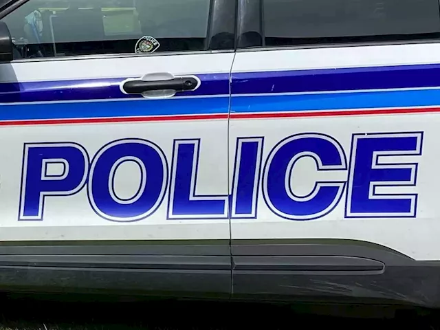 27-year-old man charged with hate-motivated assault after incident at Ottawa business