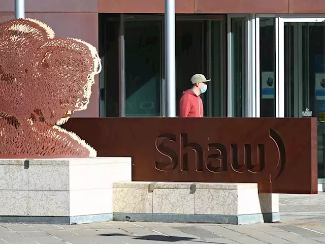 Rogers-Shaw merger would eliminate existing competition, expert tells tribunal