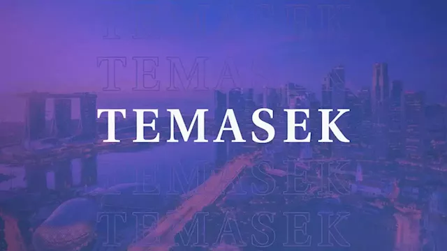 Temasek writes down $275 million investment in FTX