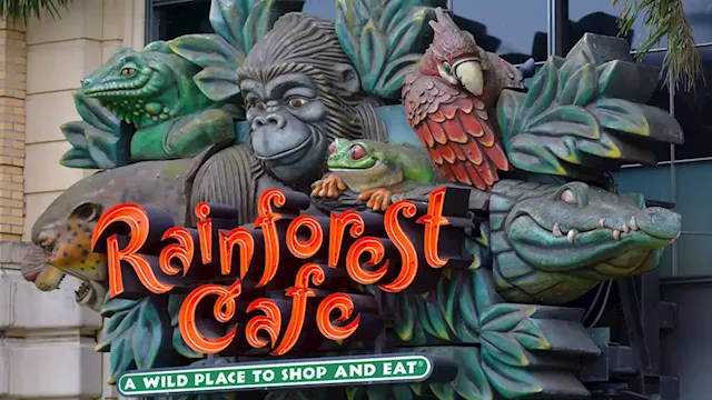 David and Goliath battle brewing over company's bid to set up a weed shop inside old Rainforest Cafe