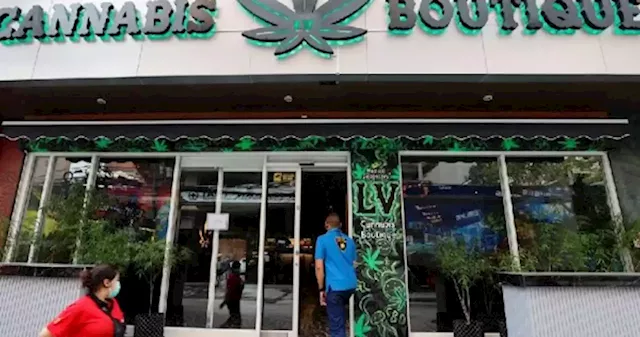 Apec host Thailand's budding marijuana industry faces backlash