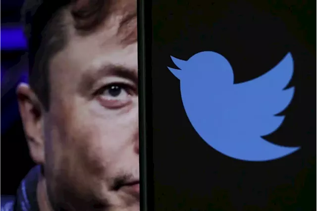 Elon Musk has used Twitter once per hour on average since buying the company | Businessinsider