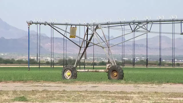 Foreign companies face mounting criticism for using Arizona water to grow crops for export