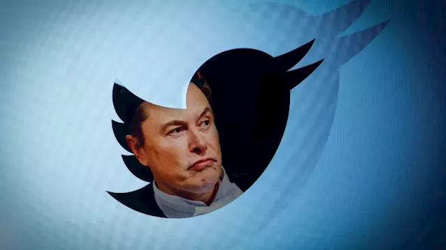 Twitter 2.0: Elon Musk shut down the company's offices after hundreds of employees quit