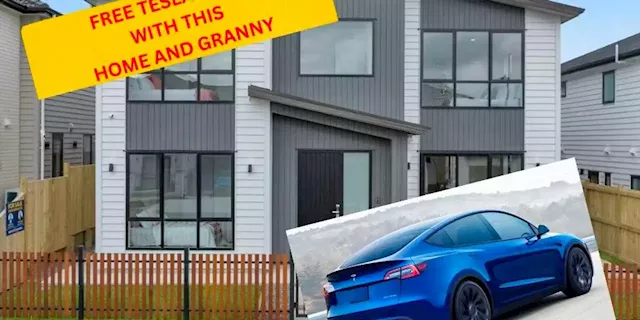 'Free Tesla offer with this home and Granny.' New Zealand real-estate agent fights for buyers in a tough market.