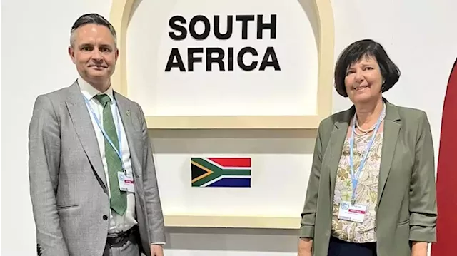 Minister Barbara Creecy says SA is encouoraged by COP27 draft outcomes - SABC News - Breaking news, special reports, world, business, sport coverage of all South African current events. Africa's news leader.