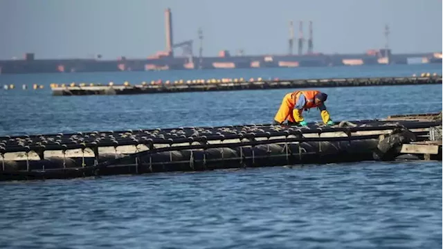 Multi-million rand aquaculture project in Coega set to create over 900 jobs - SABC News - Breaking news, special reports, world, business, sport coverage of all South African current events. Africa's news leader.